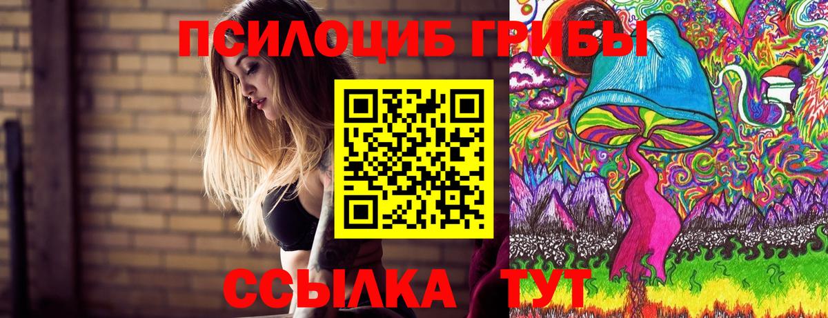 Галлюциногенные грибы Cubensis Калуга
